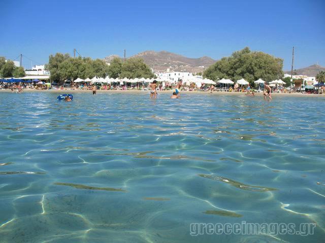 Naxos Edem Studios & Apartments Naxos City Exterior foto